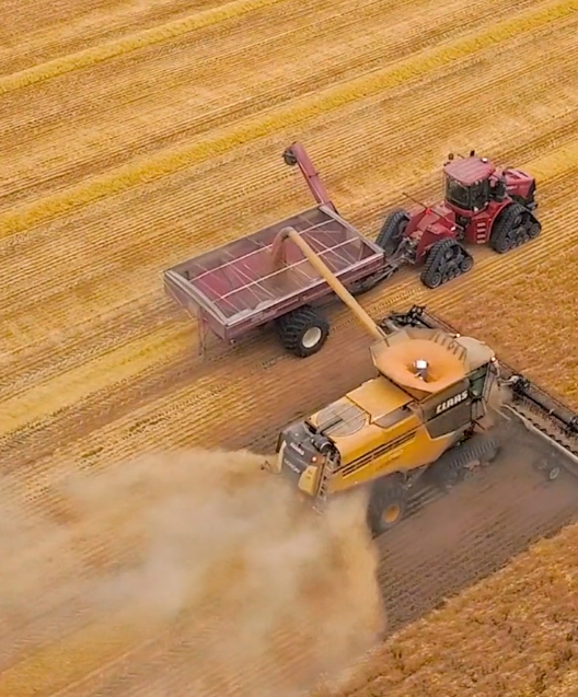 Research on The Farm